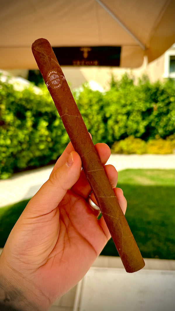 Viajes en el Tiempo con Tabaco. Reviewing a 24-Year-Old Sancho Panza Sanchos